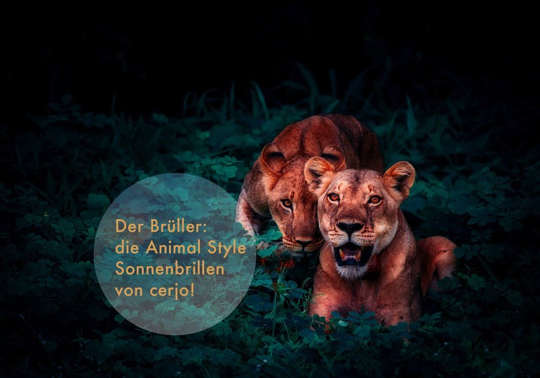 Die neue Kollektion von cerjo ist wild und animalisch