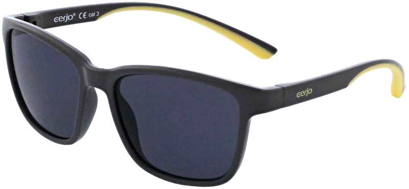 018.021 Sunglasses junior