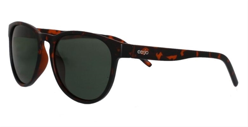 252.381 Sunglasses polarized