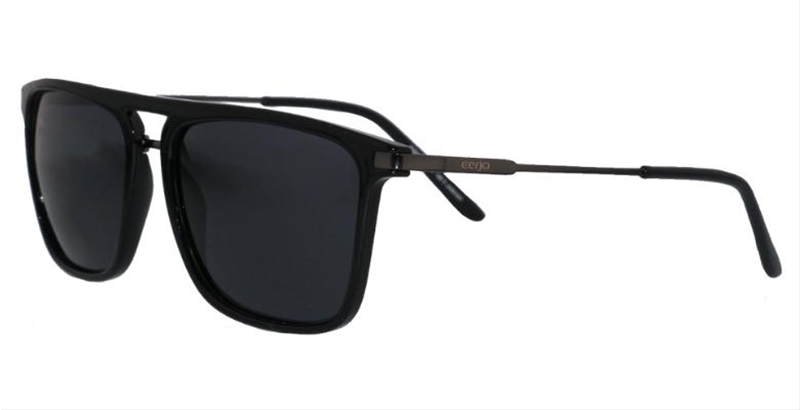 252.431 Sunglasses polarized