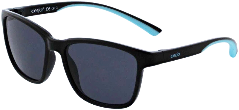 018.022 Sunglasses junior