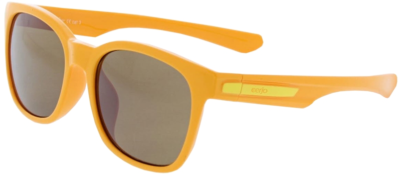 080.701 Sunglasses SWISS HD junior