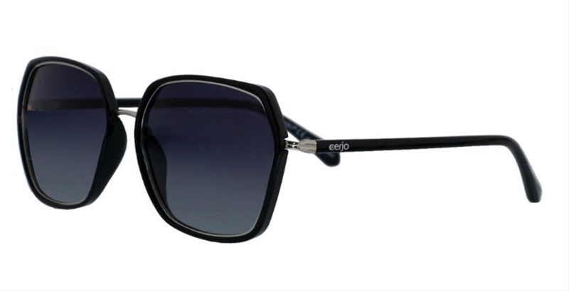 240.422 Sunglasses polarized