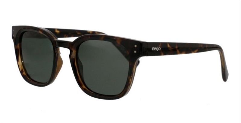 252.141 Sunglasses polarized