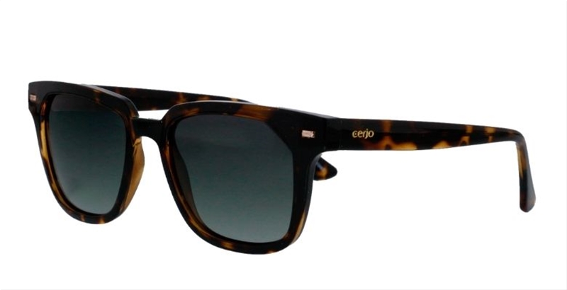 252.151 Sunglasses polarized