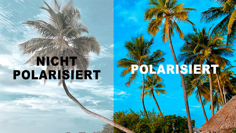 Polarisierte Brille