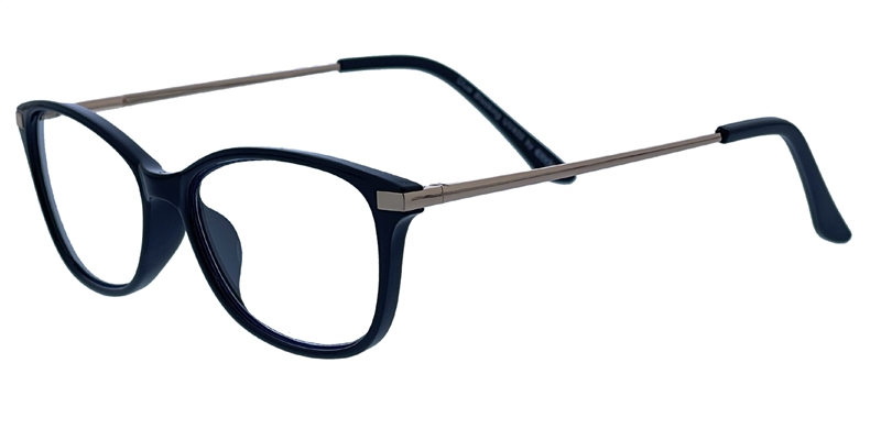 216.381 Reading glasses Blue Blocker 1.00