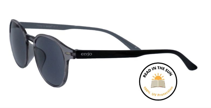 016.651 Reading sunglasses 1.00