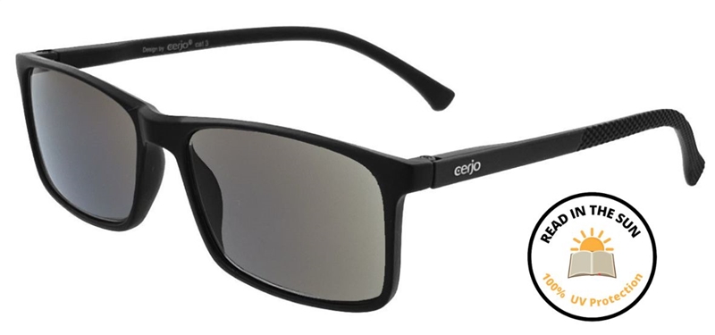 016.661 Reading sunglasses 1.00