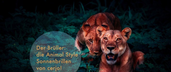 La nouvelle collection signée cerjo est sauvage et animale